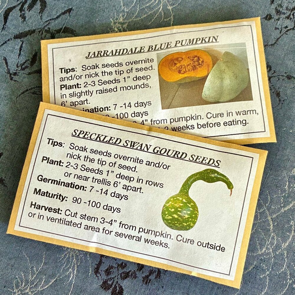 2 Pkgs of Seeds - Speckled Swan Gourd Seeds and Jarrahdale Blue Pumpkin 30 Seeds